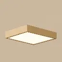 meiSun62 Infrarotheizlicht